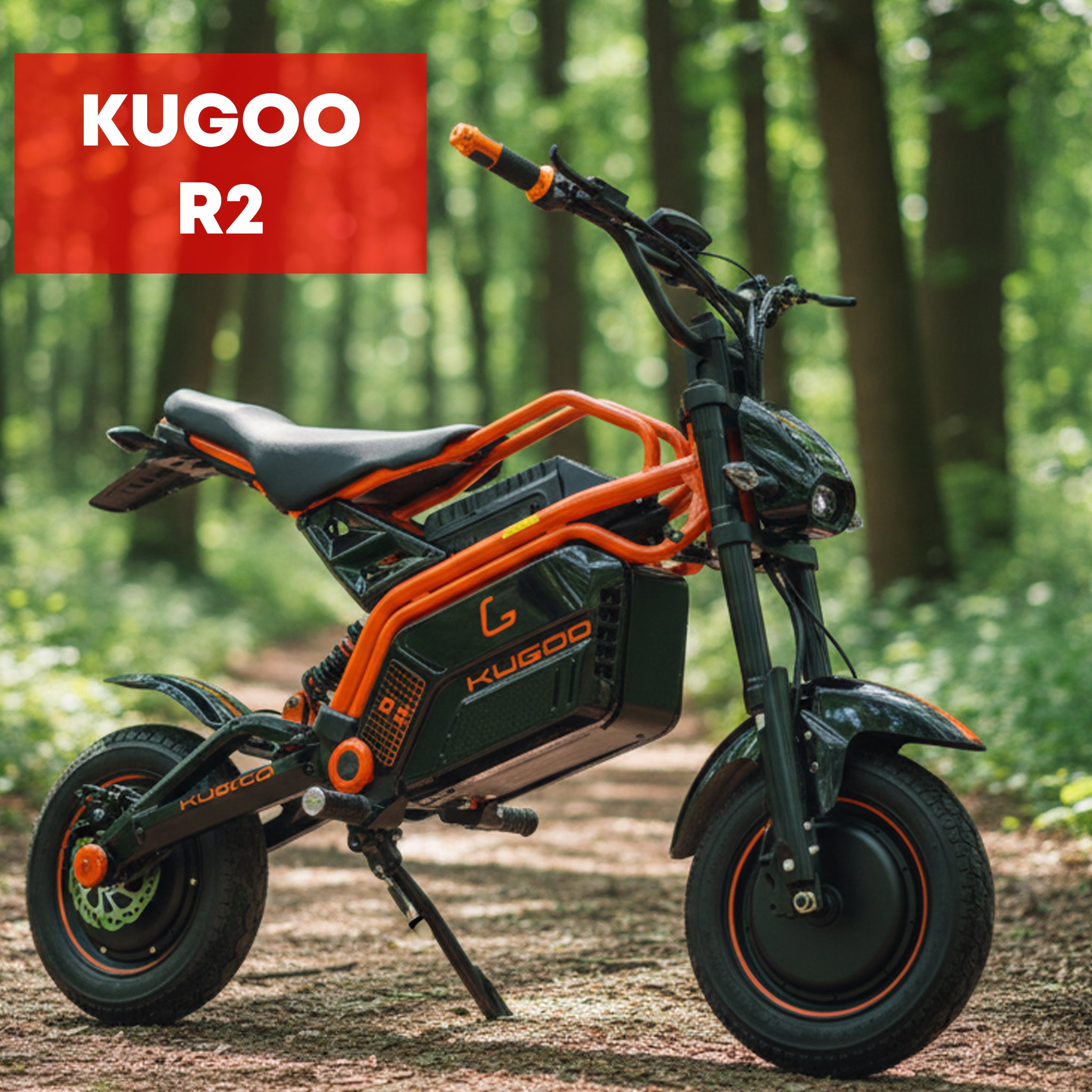 Kugoo - R2 Electric 1500W Double Motor Bike