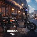 Kugoo T16 Delivery Electric Bike