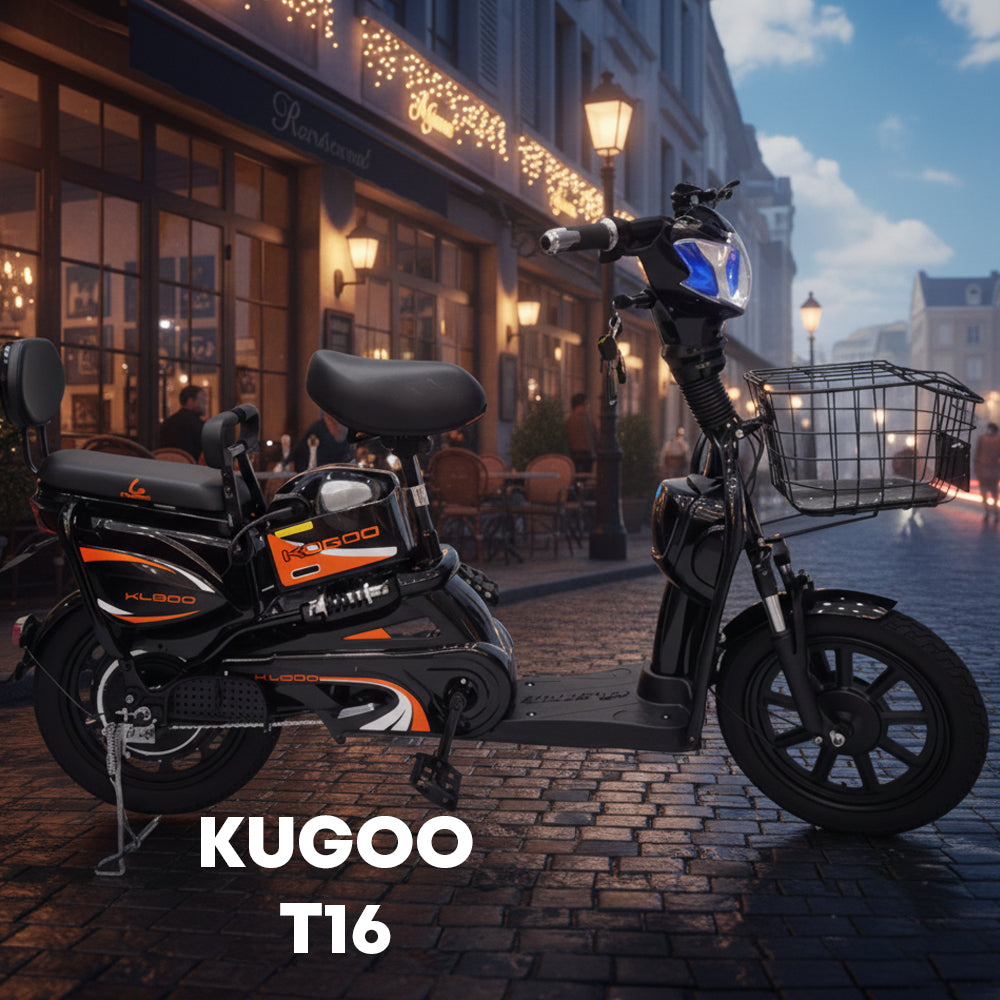 Kugoo T16 Delivery Electric Bike