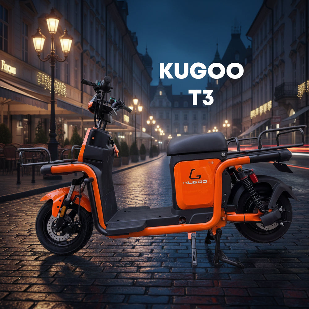 Kugoo T3 Electric Bike Cargo 700W 48V 20A