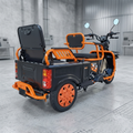 KUGOO T3 Tricycle