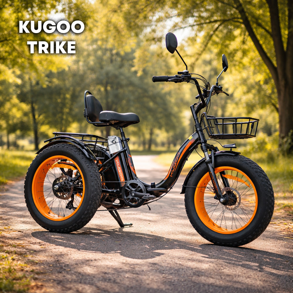 Kugoo Trike
